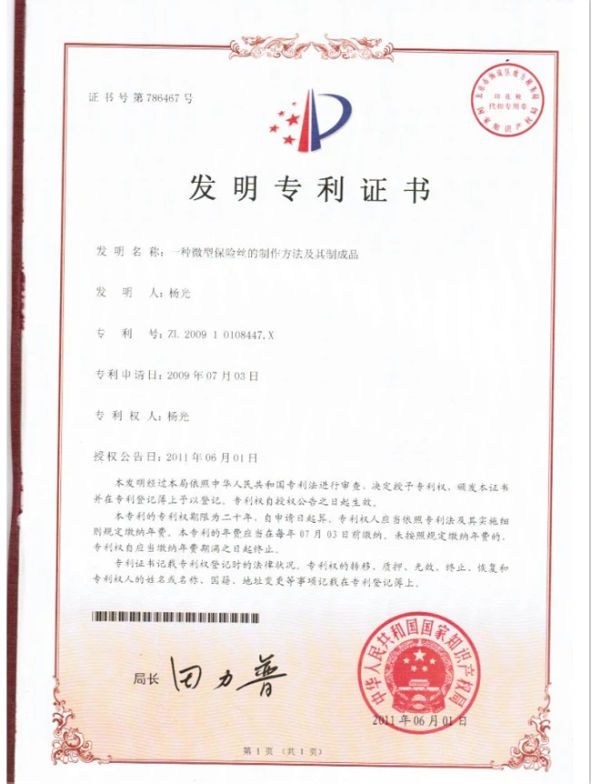 Fuse Invent Patent el 3 juliol 2009