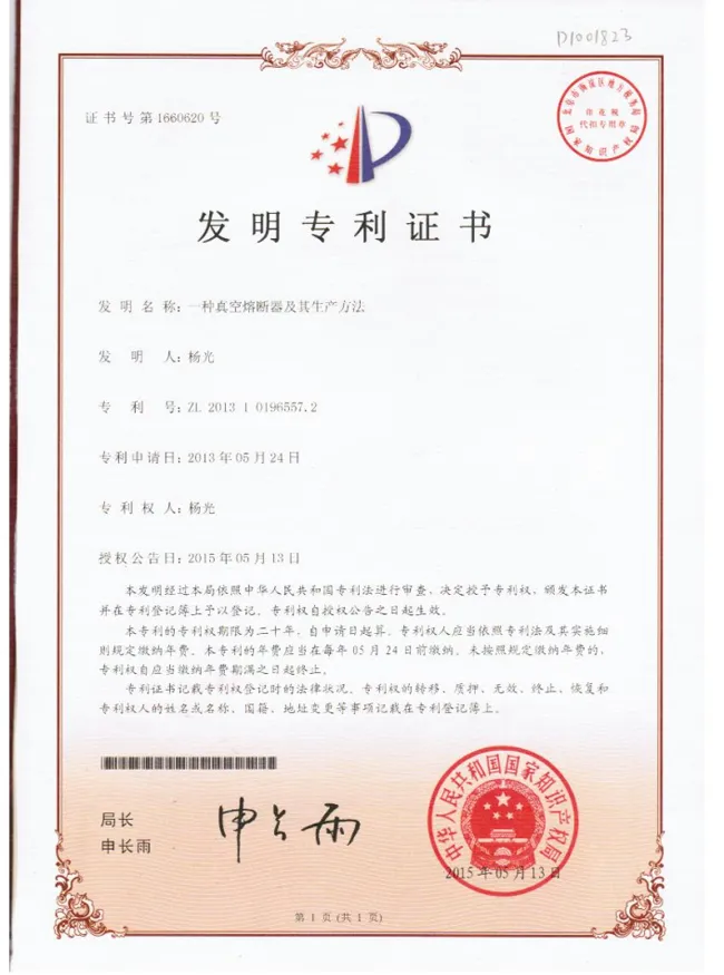 Fuse Patent el 24 de maig de 2013